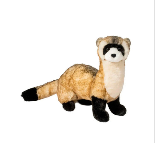 Vince Black Footed Ferret