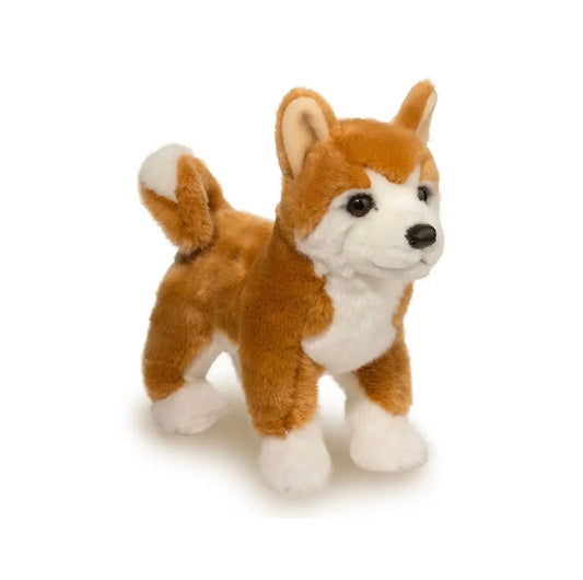 Dunham Shiba Inu