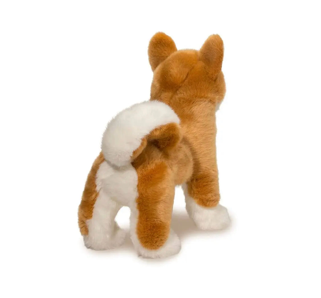 Dunham Shiba Inu