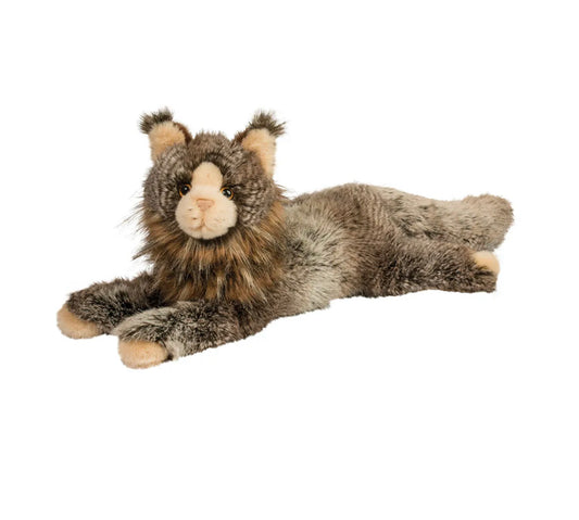 Oscar Maine Coon Cat