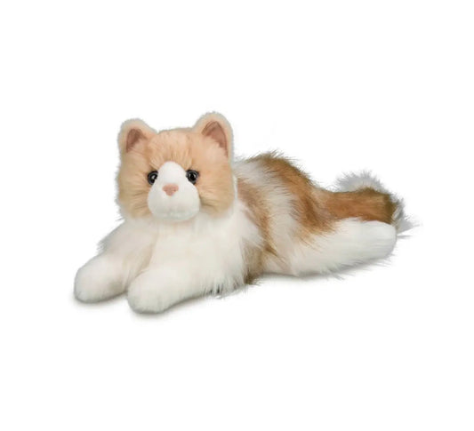 KIKI Ragdoll Cat