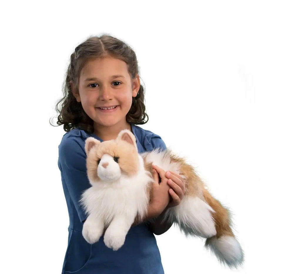 KIKI Ragdoll Cat