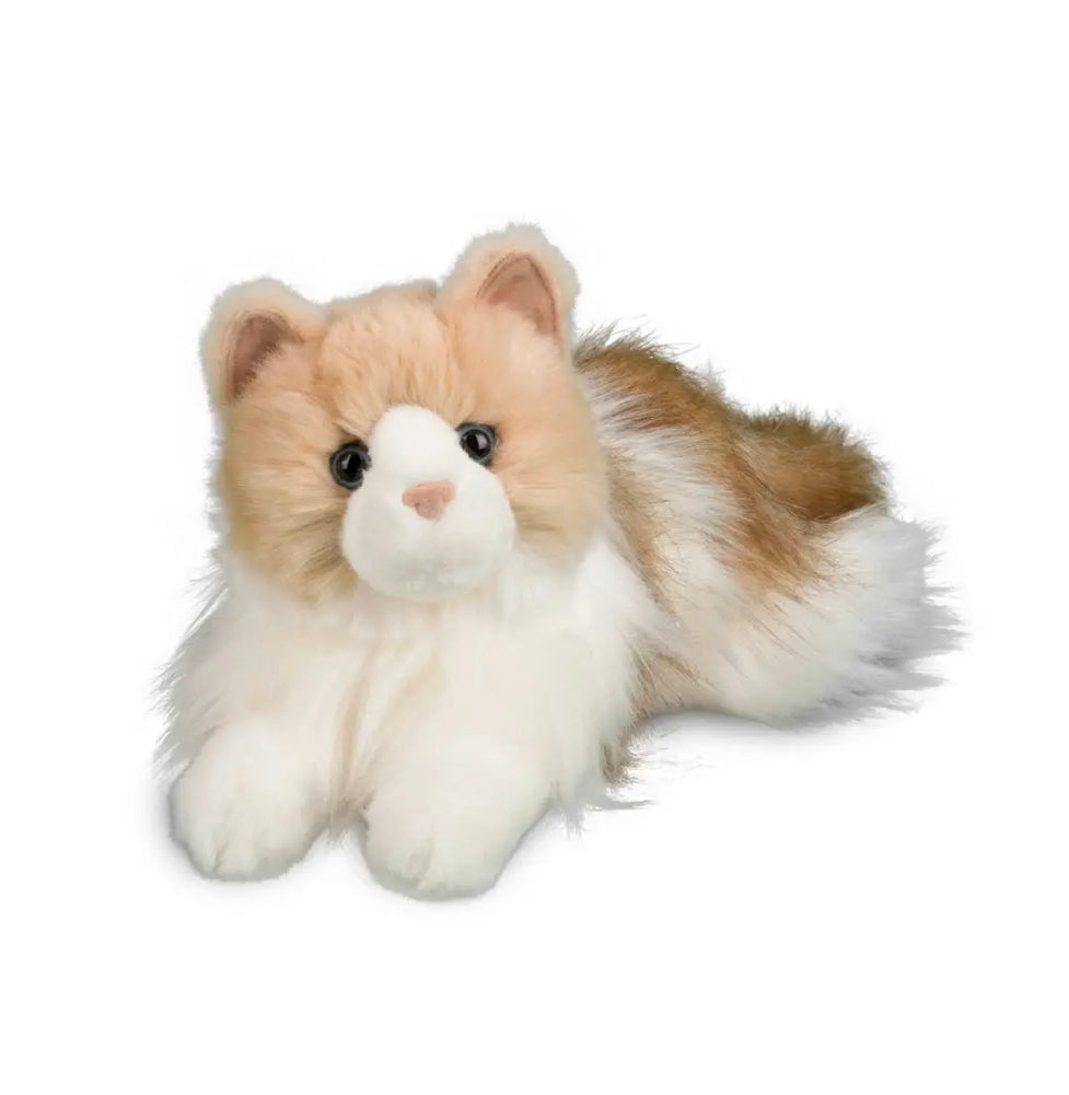 KIKI Ragdoll Cat