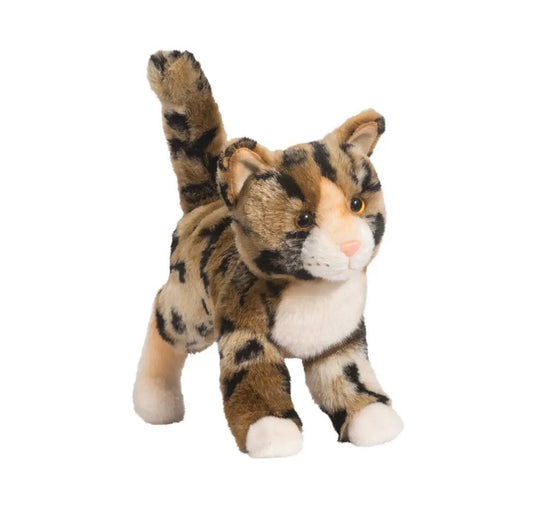 Tashette Bengal Cat