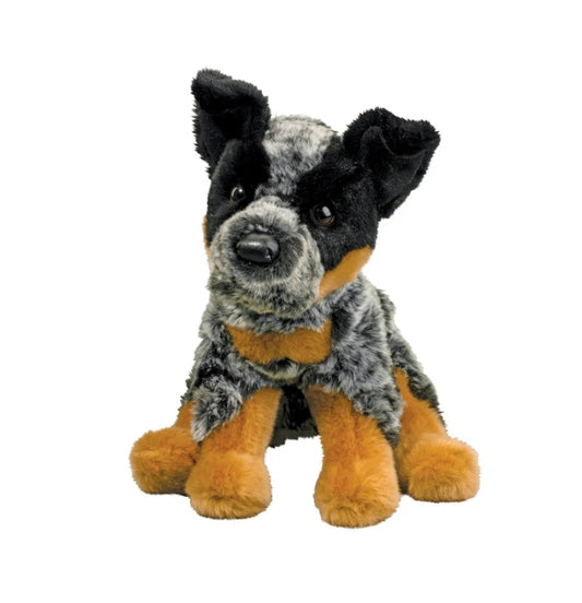 Dexter Australian Cattle Dog