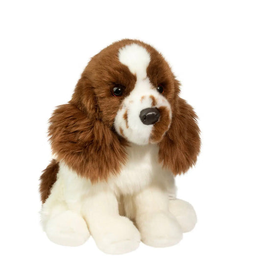 Chip Springer Spaniel