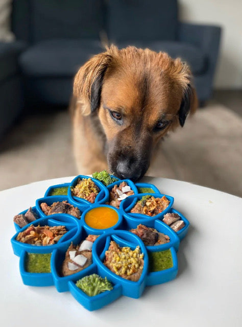 Mandala Design ETray Enrichment Tray For Dogs