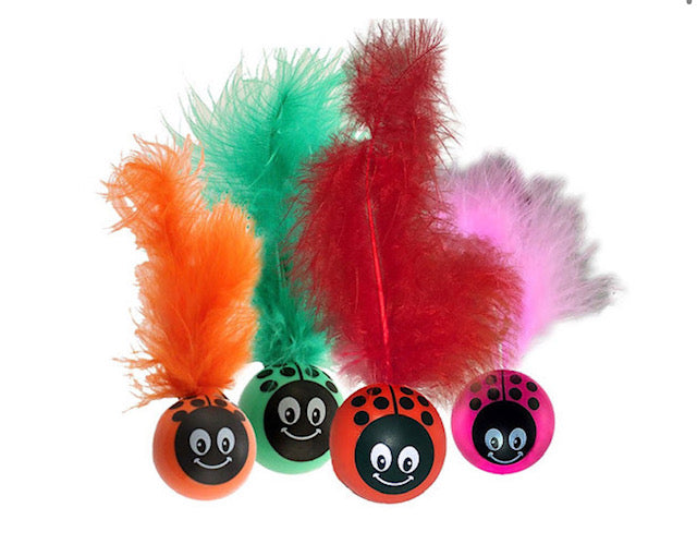 Kitty Freak Ladybug