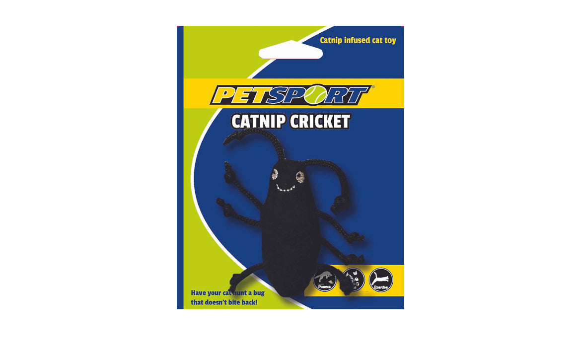 Catnip Cricket