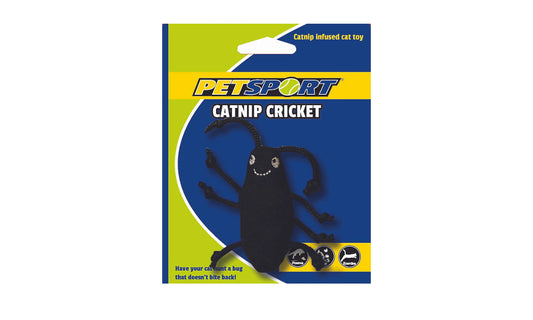 Catnip Cricket
