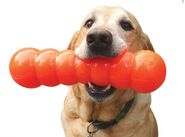 Ruff Dawg Dawg Buster