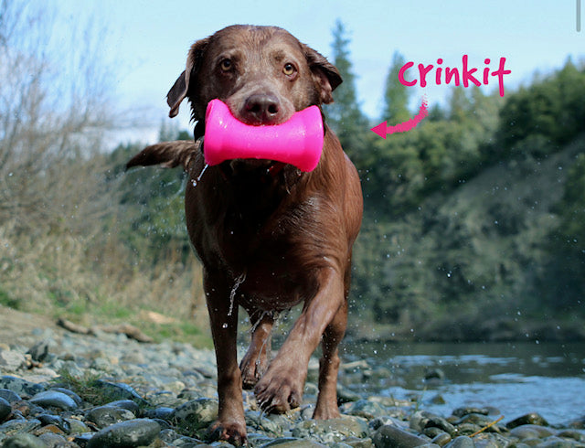 Ruff Dawg Crinkit