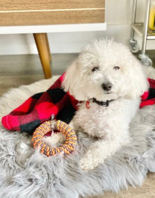 Braided Ring Toy