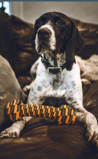 Braided Bone Toy