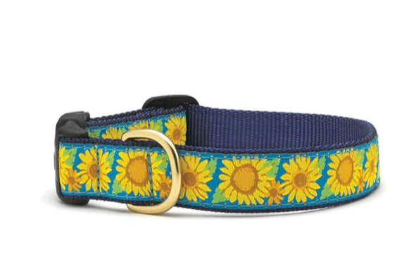 Up Country Collars Medium
