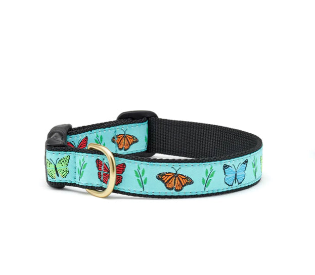 Up Country Collars Large