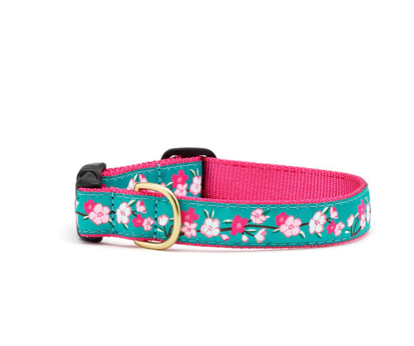 Up Country Collars XXLarge