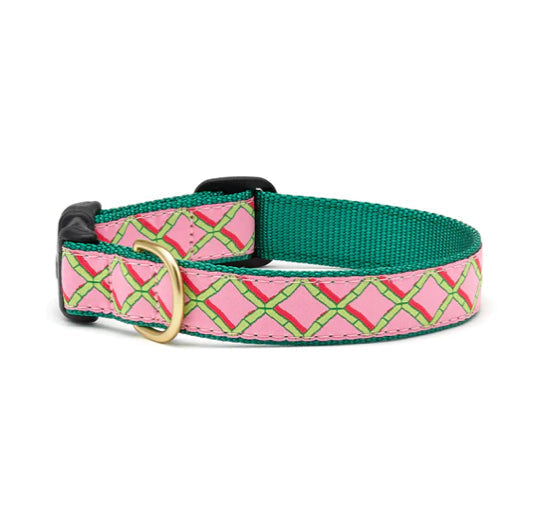 Up Country Collars XXLarge