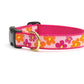 Up Country Collars XS
