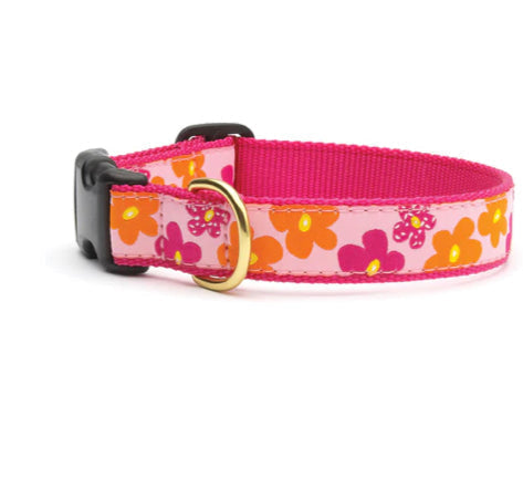 Up Country Collars XXLarge