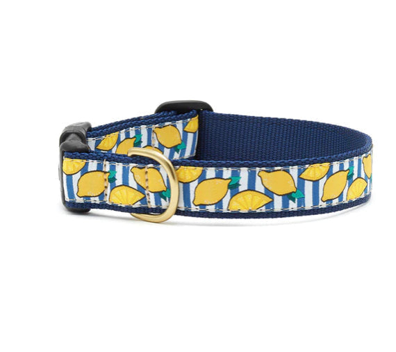 Up Country Collars XLarge