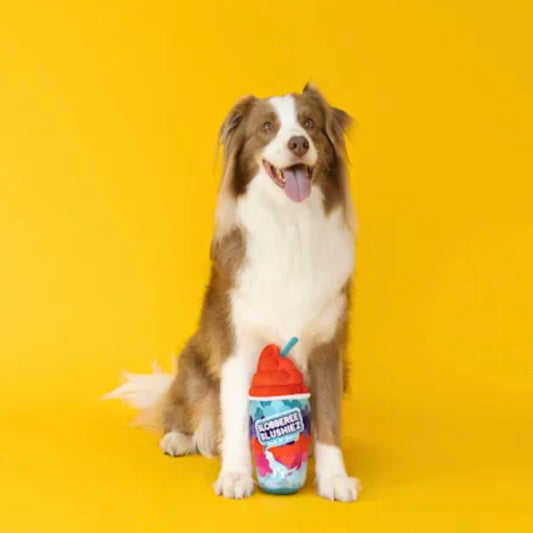 Slobberee Slushiez Plush Dog Toy