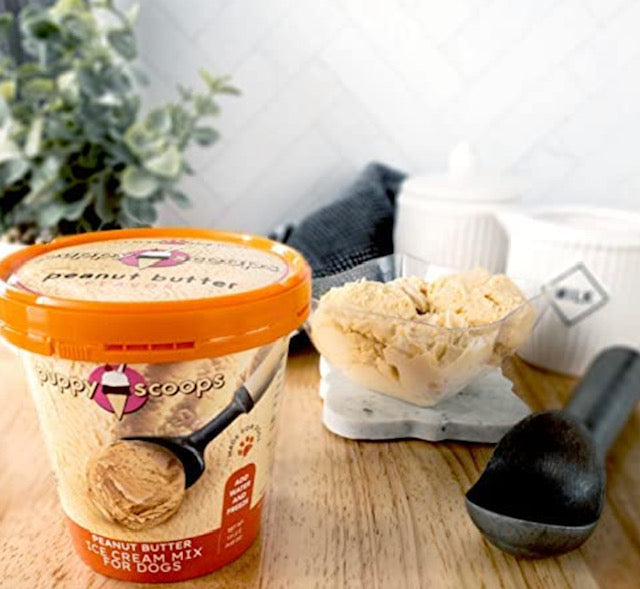 Puppy Scoops Ice Cream for Dogs