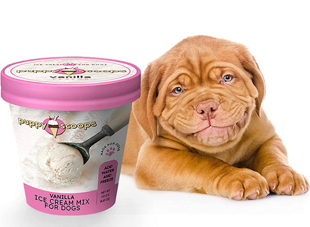 Puppy Scoops Ice Cream for Dogs