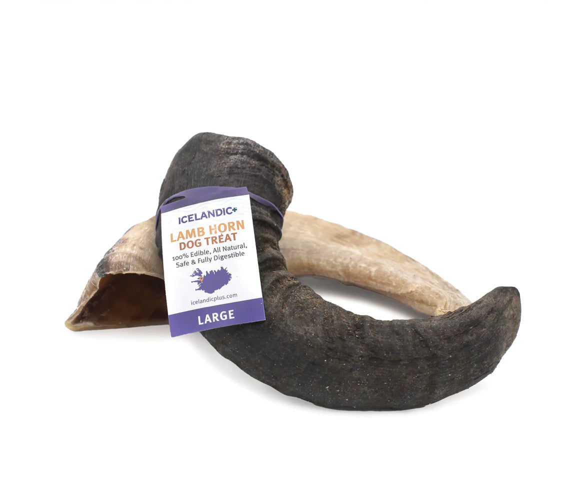 Lamb Horn Dog Treat