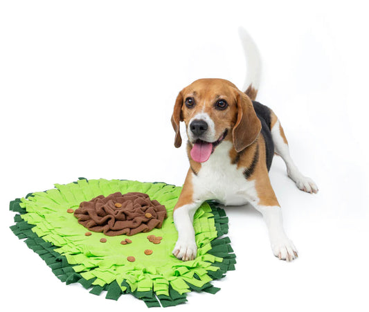 Avocado Snuffle Mat