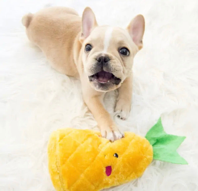 Pineapple Squeaker Toy