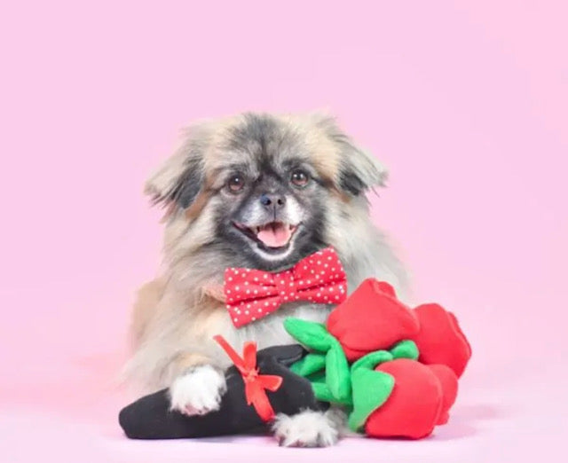 Bouquet of Roses Squeaker Toy