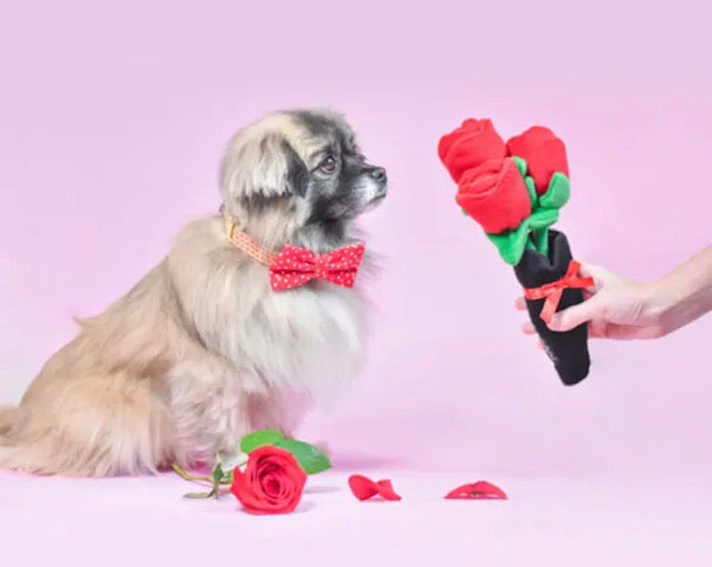 Bouquet of Roses Squeaker Toy