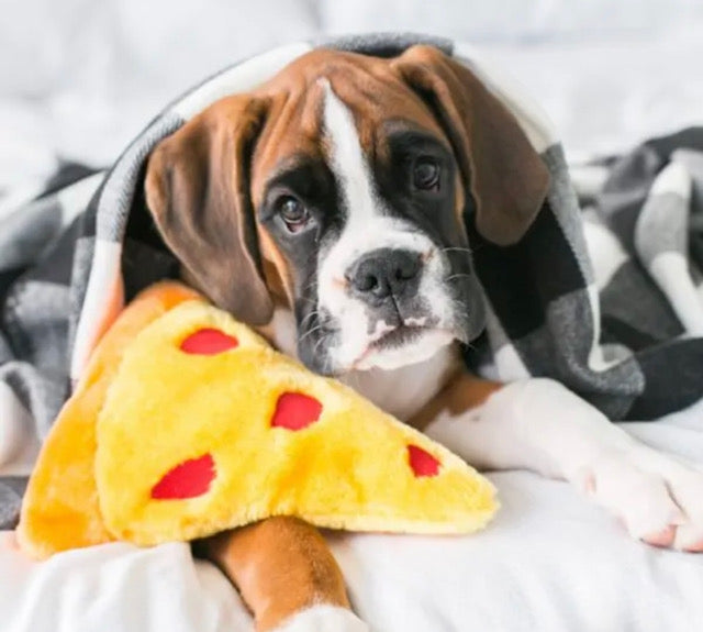 Pizza Slice Squeaker Toy
