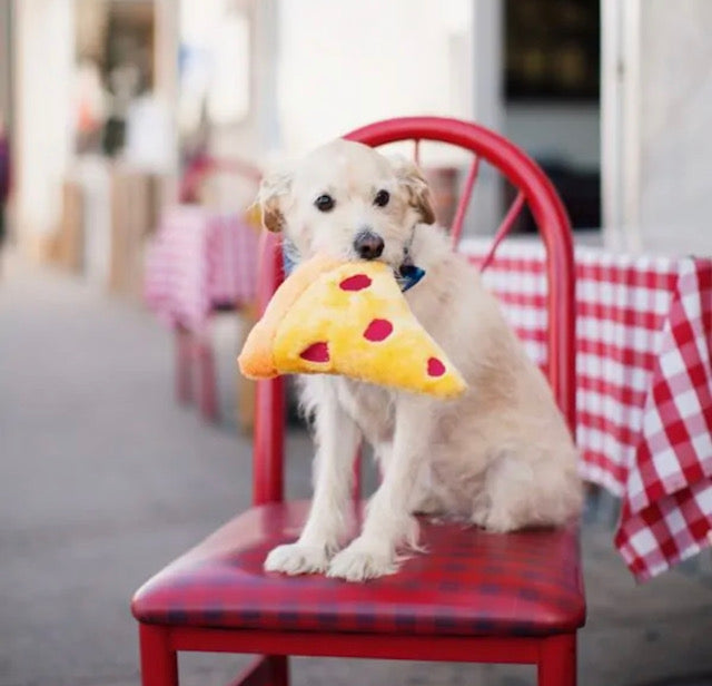 Pizza Slice Squeaker Toy