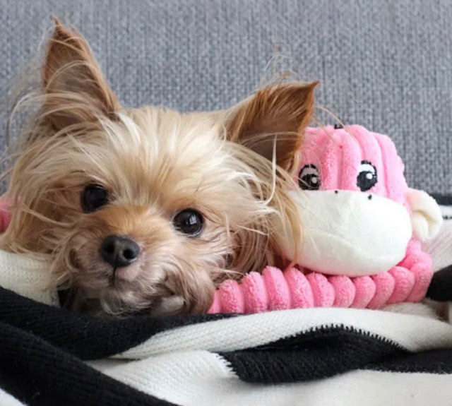 Pink Crinkle Monkey Squeaker Toy