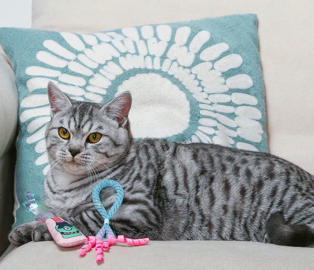 Kitten Party Catnip Toy