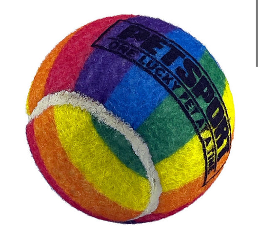 Rainbow Squeak Ball 2.5" 3-Pack