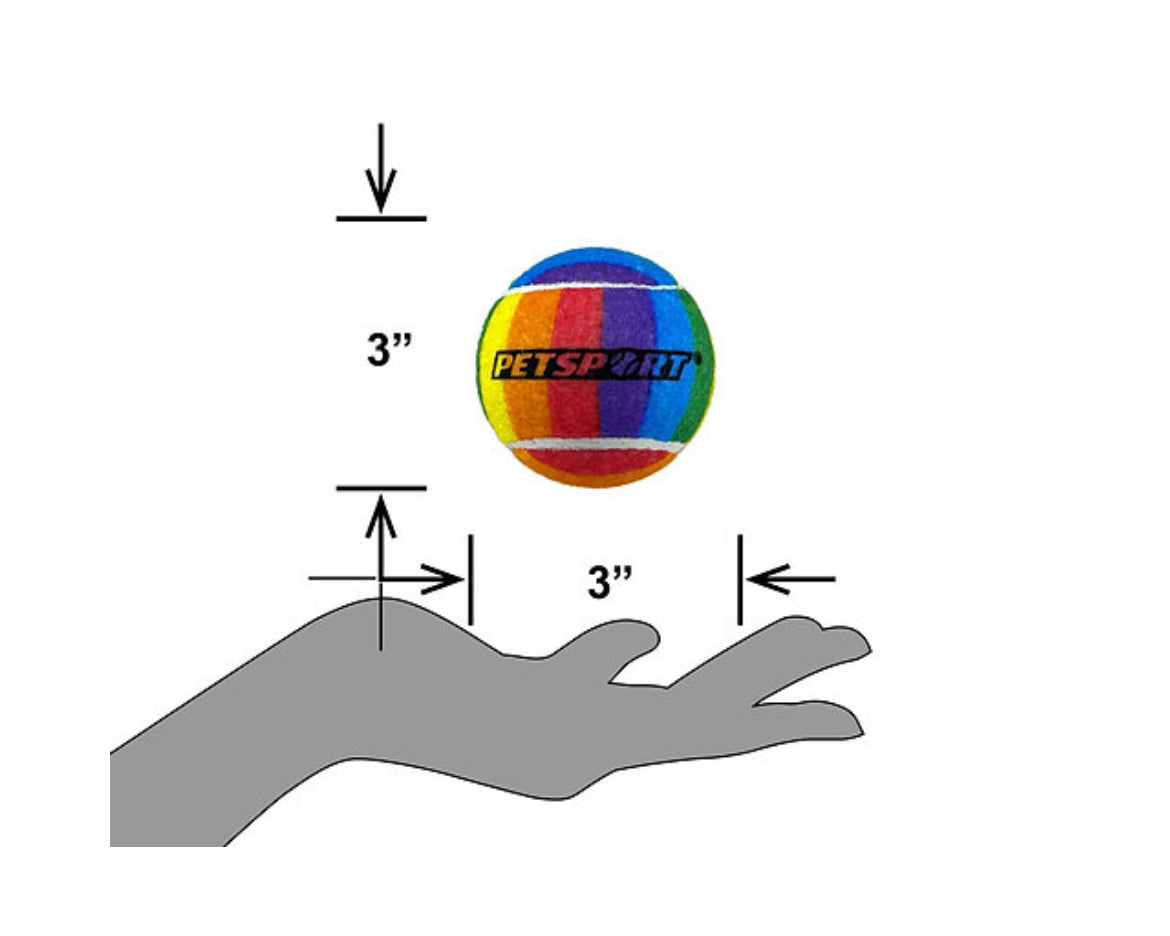 Rainbow Squeak Ball 2.5" 3-Pack