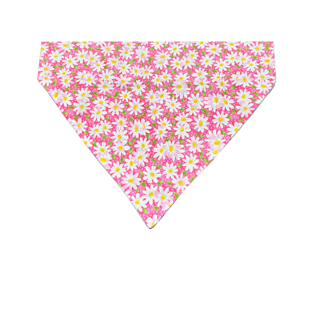 Bandanas
