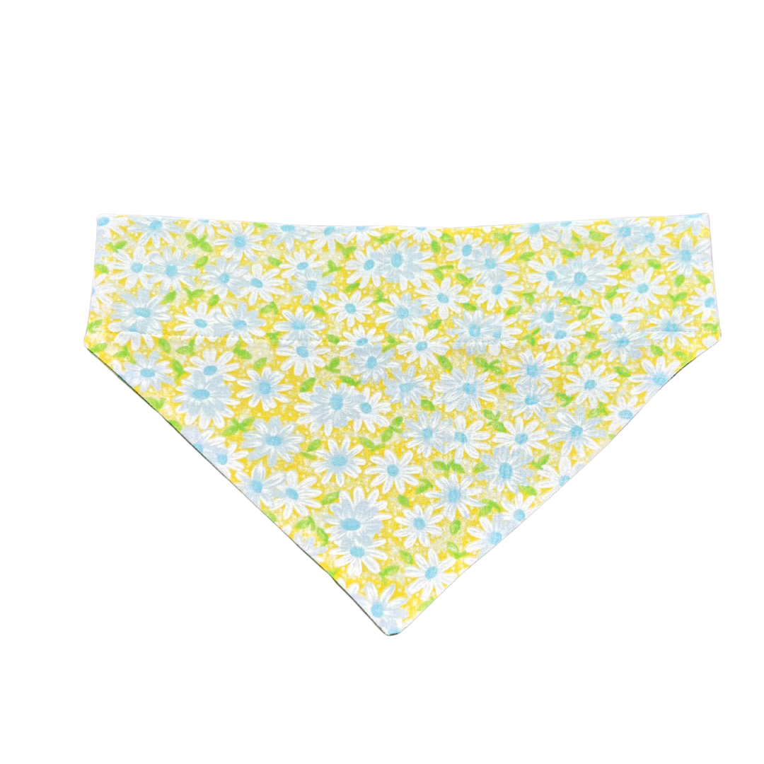 Bandanas