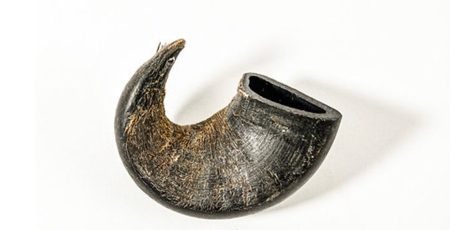 Water Buffalo Horn
