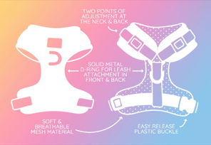 Gilmore Girls Animal Harness