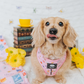 Gilmore Girls Animal Harness