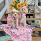 Gilmore Girls Animal Harness