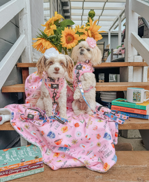 Gilmore Girls Animal Harness