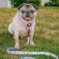 Gilmore Girls Leash