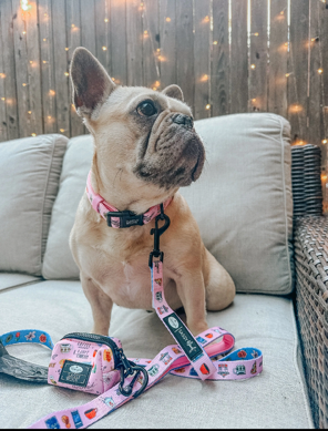 Gilmore Girls Leash