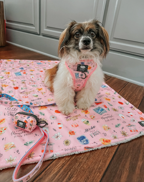 Gilmore Girls Blanket