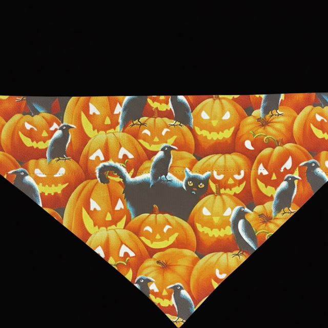 Pumpkin & Black Cat Bandana